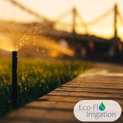 Why You Need An Irrigation System