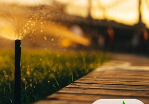 Why You Need An Irrigation System