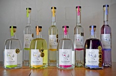 FB_4_GINS_1673594968