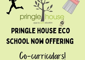 Co-Curricular Activities