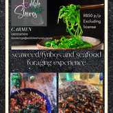 Poster - Edible Shores Coastline Foraging Experience - Xplorioâ„¢ Pringle Bay