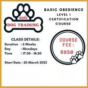 Dog Training Course