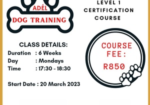 Dog Training Course