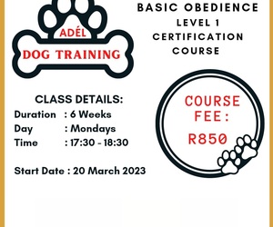 Dog Training Course