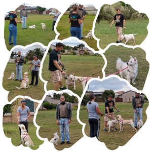 photocollage_20211210215637829_1673894129