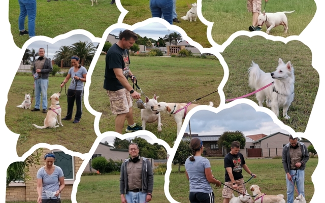 photocollage_20211210215637829_1673894129