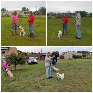 photocollage_2021129211321514_1673894128