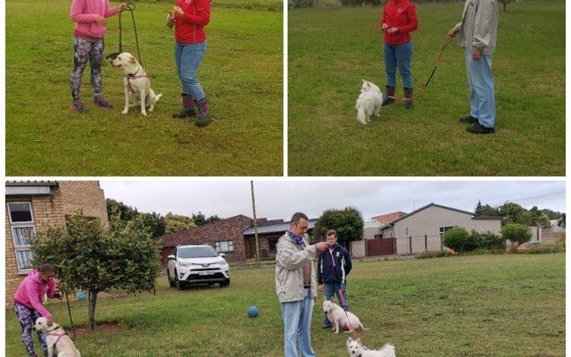 photocollage_2021129211321514_1673894128