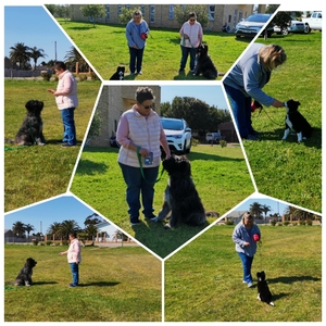 photocollage_202182584655515_1673894130