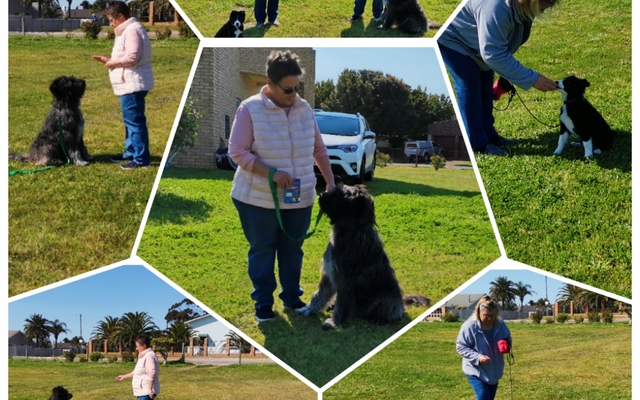 photocollage_202182584655515_1673894130