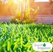 Summer Garden Care:Â Irrigation System