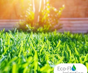 Summer Garden Care:Â Irrigation System