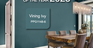 Colour of the Year for 2023:Â Vining Ivy