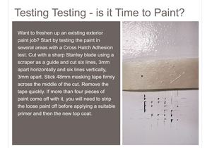 Fast Tip: Putting a Fresh Coat of Paint on Your Exterior