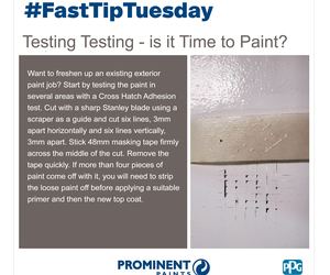 Fast Tip: Putting a Fresh Coat of Paint on Your Exterior