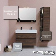 Prominent Premium Eggshell Enamel