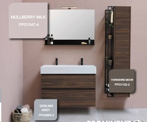 Prominent Premium Eggshell Enamel