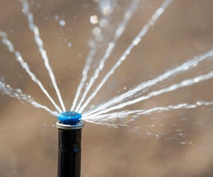 Automatic Watering System