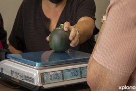 Weekly Specials:Â Fresh Fruit and Vegetables, Meat and More!