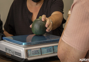 Weekly Specials:Â Fresh Fruit and Vegetables, Meat and More!