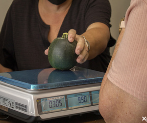 Weekly Specials:Â Fresh Fruit and Vegetables, Meat and More!