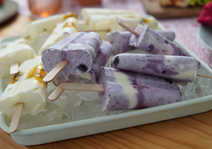 Fruity Yoghurt Popsicles