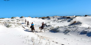 Pearly Beach Horse Trails