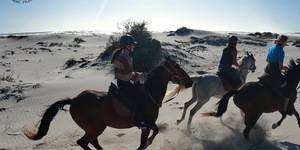 Pearly Beach Horse Trails