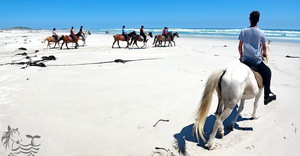 Shout out to all our wonderful guests...