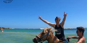 Pearly Beach Horse Trails