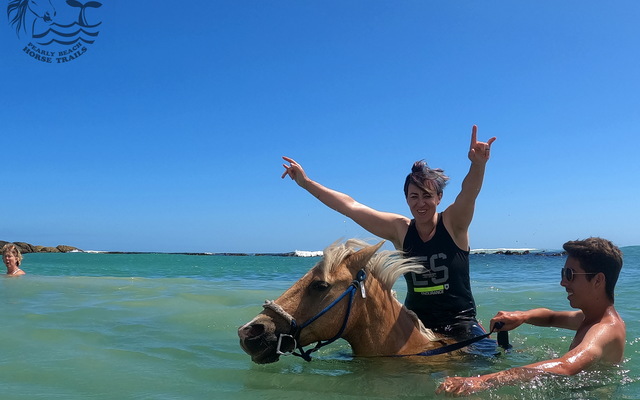 Pearly Beach Horse Trails