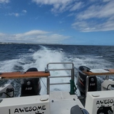 Fishing Charter - Awesome Charters - Xplorioâ„¢ L'Agulhas