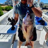 Fishing Charter - Awesome Charters - Xplorioâ„¢ L'Agulhas