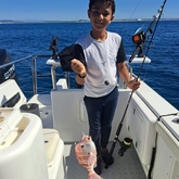 Fishing Charter - Awesome Charters - Xplorioâ„¢ L'Agulhas