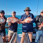 Fishing Charter - Awesome Charters - Xplorioâ„¢ L'Agulhas