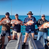 Fishing Charter - Awesome Charters - Xplorioâ„¢ L'Agulhas
