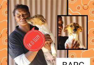 Up for Adoption:Â Lizzy