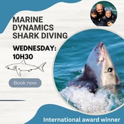 Shark Cage Diving Trip for Wednesday 1 February 2023