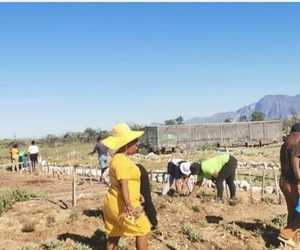 Landscaping in Stanford