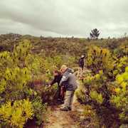 Take A Walk On The Wild Side -Â Download The iNaturalist App