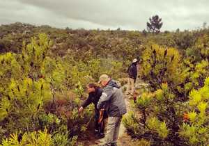 Take A Walk On The Wild Side -Â Download The iNaturalist App