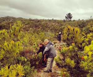 Take A Walk On The Wild Side -Â Download The iNaturalist App