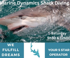 Next Marine Dynamics Shark Cage Diving Trip: 04 February 2023