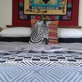 Mountain view double