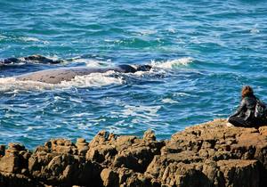 Overstrand on the Worldâ€™s Most Loved Destination List