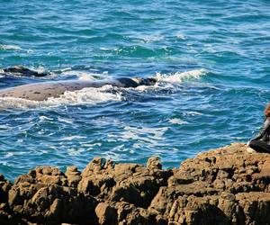 Overstrand on the Worldâ€™s Most Loved Destination List