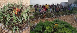 Health -e- Gardens Project