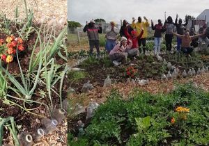 Health -e- Gardens Project