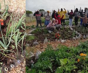 Health -e- Gardens Project