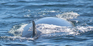 WhatsApp_Image_2023_02_07_at_15.30.27_1__1675779549